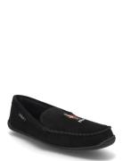 Brenan Polo Bear Suede Slipper Loaferit Matalat Kengät Black Polo Ralp...