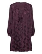 Cwdainora - Dress Polvipituinen Mekko Purple Claire Woman