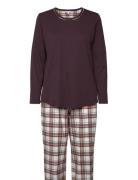 Cotton Flannel Pyjamas Pyjama Burgundy Lady Avenue