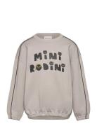 Mini Rodini Cats Sp Sweatshirt Tops Sweat-shirts & Hoodies Sweat-shirt...