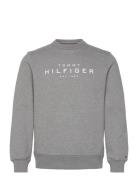 Tommy Hilfiger Sweatshirt Tops T-shirts Long-sleeved Grey Tommy Hilfig...