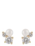 Mayfair Small Irregular Pearl Ear G/White - Accessories Jewellery Earr...