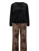 Pj Set Velours Leopard Pyjama Black Hunkemöller