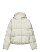 G North Down Hooded Jacket Toppatakki White The North Face