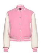 Tjw Wool Varsity Jacket Ext Bombertakki Pink Tommy Jeans