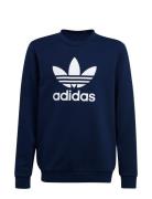 Trefoil Crew Tops Sweat-shirts & Hoodies Sweat-shirts Navy Adidas Orig...