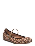 Aiken_Lkd Ballerinat Brown UNISA