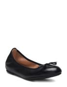 Acor_25_Nto Ballerinat Black UNISA