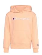 Hooded Sweatshirt Tops Sweat-shirts & Hoodies Hoodies Pink Champion