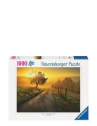 Landscape In Morning Sun 1000P Toys Puzzles And Games Puzzles Classic ...