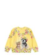 Maxi Tops Sweat-shirts & Hoodies Sweat-shirts Yellow Molo