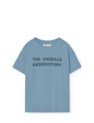 Orion Kid T-Shirt Blue Tops T-shirts Short-sleeved Blue THE ANIMALS OB...