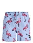 Jpstmaui Jjswim Novelty Aop Akm Sn Jnr Uimashortsit Blue Jack & J S