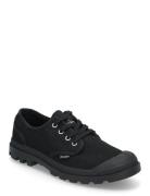 Pampa Oxford Matalavartiset Sneakerit Tennarit Black Palladium