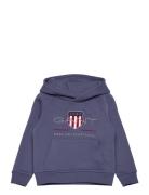 Archive Shield Raglan Hoodie Tops Sweat-shirts & Hoodies Hoodies Blue ...