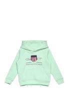 Archive Shield Raglan Hoodie Tops Sweat-shirts & Hoodies Hoodies Green...