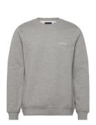 Logo Sweat Tops Sweat-shirts & Hoodies Sweat-shirts Grey Lindbergh