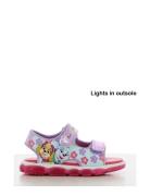 Pawpatrol Sandal Shoes Summer Shoes Sandals Purple Paw Patrol