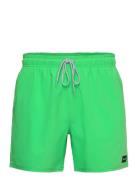 Daily Volley Uimashortsit Green Rip Curl