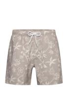 Hco. Guys Swim Uimashortsit Grey Hollister
