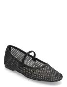 Majorca Ballerina Ballerinat Black Steve Madden