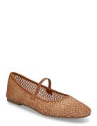 Majorca Ballerina Ballerinat Brown Steve Madden