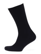 Claudio Socks Solid Colours Underwear Socks Regular Socks Blue Claudio