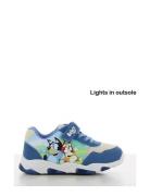 Bluey Sneakers Matalavartiset Sneakerit Tennarit Blue Bluey