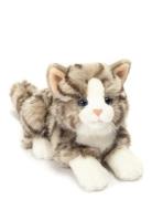 Lying Cat Grey 20 Cm Toys Soft Toys Stuffed Animals Grey Teddy Hermann