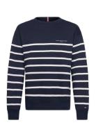Mini Corp Stripe Crew Neck Tops Sweat-shirts & Hoodies Sweat-shirts Na...