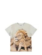 Roxo Tops T-shirts Short-sleeved Beige Molo