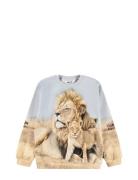 Miksi Tops Sweat-shirts & Hoodies Sweat-shirts Beige Molo