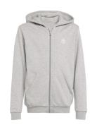 Full Zip Hoodie Tops Sweat-shirts & Hoodies Hoodies Grey Adidas Origin...