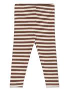 Tnsbfro Rib Leggings Bottoms Leggings Brown The New