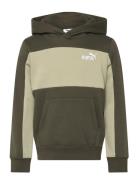 Ess Block Small Logo Hoodie Fl B Sport Sweat-shirts & Hoodies Hoodies ...