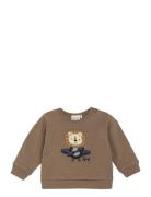 Sweatshirt Ls Tops Sweat-shirts & Hoodies Sweat-shirts Brown Minymo