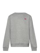 Fw-Crew Tops Sweat-shirts & Hoodies Sweat-shirts Grey Levi's