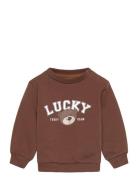 Tnsbperseus Sweatshirt Tops Sweat-shirts & Hoodies Sweat-shirts Brown ...