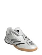Predator Sala J Matalavartiset Sneakerit Tennarit White Adidas Origina...