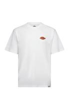 M Graysville Tee Ss Tops T-shirts Short-sleeved White Dickies