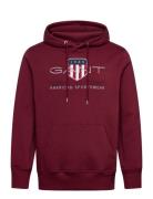 Reg Archive Shield Hoodie Tops Sweat-shirts & Hoodies Hoodies Purple G...