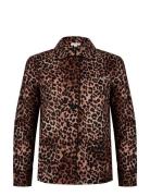 Joe Toppi Brown Love Stories