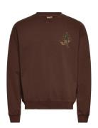 Sdrami Tops Sweat-shirts & Hoodies Sweat-shirts Brown Solid