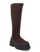 Chipp Korkeavartiset Saapikkaat Brown Steve Madden