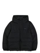 Puffer Jacket Toppatakki Black BOSS