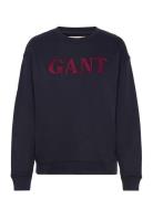 Graphic C-Neck Sweat Tops Sweat-shirts & Hoodies Sweat-shirts Blue GAN...