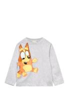 Tshirt Tops T-shirts Long-sleeved T-shirts Grey Bluey