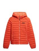 Hooded Fuji Lite Padded Jacket Vuorillinen Takki Topattu Takki Orange ...