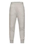 Frey Draco Sweatpants Bottoms Sweatpants Grey THE ANIMALS OBSERVATORY