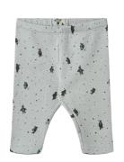 Jersey Pants Silas Bottoms Leggings Blue Wheat